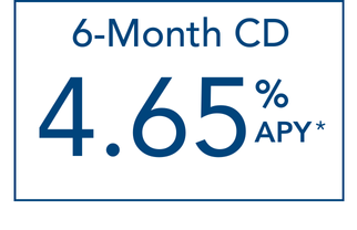 6-month-cd